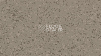 Линолеум Gerflor Mipolam Affinity 4463 Greige фото 1 | FLOORDEALER
